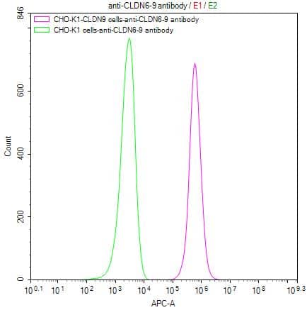 Flow Cytometry: Claudin-6 Antibody (9H8) [NBP3-26651] -Untransfected CHO-K1*106cells), washed and then followed by APC-conjugated anti-Human IgG Fc antibody and analyzed with flow cytometry.