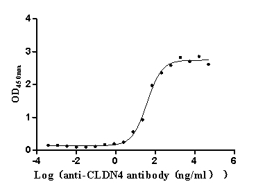ELISA: Claudin-4 Antibody (8G7) [NBP3-26654] -The Binding Activity of Human CLDN4 with Anti-CLDN4 Recombinant AntibodyActivity: Measured by its binding ability in a functional ELISA. Immobilized Human CLDN4 at 5 μg/mL can bind Anti-CLDN4 recombinant antibody, the EC50 is 29.56-50.75 ng/mL.