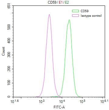 Flow Cytometry: CD59 Antibody (28D4) [NBP3-26676] - Overlay Peak curve showing Hela cells stained with CD59 Antibody (28D4) (red line) at 1:50. The cells were fixed in 4% formaldehyde and permeated by 0.2% Triton X-100. Then 10% normal goat serum to block non-specific protein-protein interactions followed by the antibody (1ug/1*10^6 cells) for 45min at 4C. The secondary antibody used was FITC-conjugated Goat Anti-rabbit IgG (H+L) at 1:200 dilution for 35min at 4C. Control antibody (green line) was rabbit IgG (1ug/1*10^6 cells) used under the same conditions. Acquisition of >10,000 events was performed.