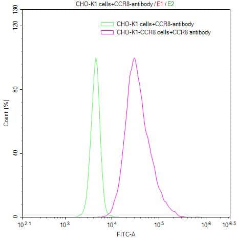 Flow Cytometry: CCR8 Antibody (2C10) [NBP3-26688] - Untransfected CHO-K1 cells (green line) and transfected Human CCR8 CHO-K1 stable cells (red line) were stained with anti-CCR8 antibody (2ug/1*10^6 cells), washed and then followed by FITC-conjugated anti-Human IgG Fc antibody and analyzed with flow cytometry.