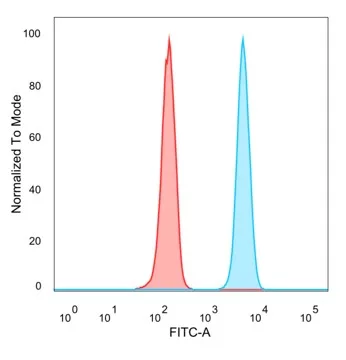 Flow Cytometric Analysis of PFA-fixed HeLa cells. CBF2 Antibody (PCRP-CEBPZ-2D8) followed by goat anti-mouse IgG-CF488 (blue); unstained cells (red).