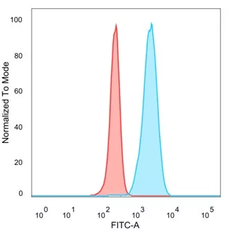 Flow Cytometric Analysis of PFA-fixed HeLa cells. IMP2/IGF2BP2 Antibody (PCRP-IGF2BP2-1F9) followed by goat anti-mouse IgG-CF488 (blue); unstained cells (red).