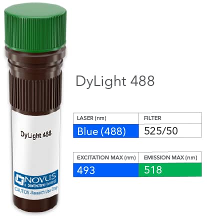 Vial of DyLight 488 conjugated antibody. DyLight 488 is optimally excited at 493 nm by the Blue laser (488 nm) and has an emission maximum of 518 nm.