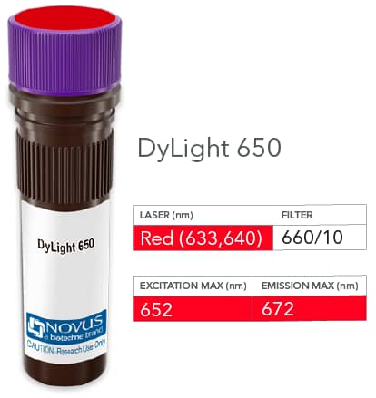 Vial of DyLight 650 conjugated antibody. DyLight 650 is optimally excited at 652 nm by the Red laser (633 or 640 nm) and has an emission maximum of 672 nm.