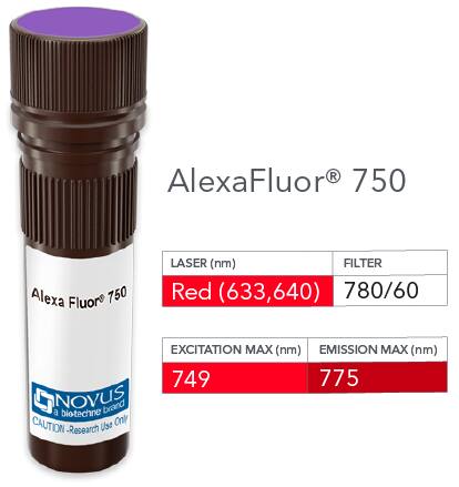 Vial of Alexa Fluor 750 conjugated antibody. Alexa Fluor 750 is optimally excited at 749 nm by the Red laser (633 or 640 nm) and has an emission maximum of 775 nm.