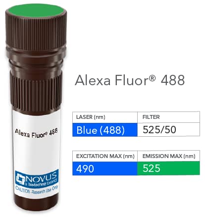 Vial of Alexa Fluor 488 conjugated antibody. Alexa Fluor 488 is optimally excited at 490 nm by the Blue laser (488 nm) and has an emission maximum of 525 nm.