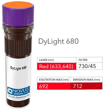 Vial of DyLight 680 conjugated antibody. DyLight 680 is optimally excited at 692 nm by the Red laser (633 or 640 nm) and has an emission maximum of 712 nm.