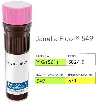 Vial of Janelia Fluor 549 conjugated antibody. Janelia Fluor 549 is optimally excited at 549 nm by the Yellow-Green laser (561 nm) and has an emission maximum of 571 nm.