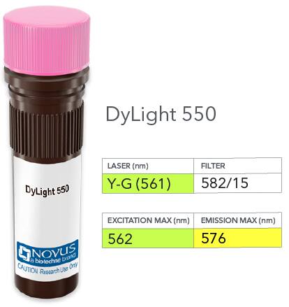 Vial of DyLight 550 conjugated antibody. DyLight 550 is optimally excited at 562 nm by the Yellow-Green laser (561 nm) and has an emission maximum of 576 nm.