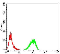 Flow Cytometry: RNA polymerase I termination factor Antibody (2F4D8) [NBP3-27122] - Analysis of Hela cells using RNA polymerase I termination factor mouse mAb (green) and negative control (red).