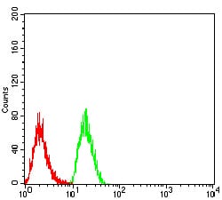 Flow Cytometry: RNA polymerase I termination factor Antibody (2F4B12) [NBP3-27123] - Analysis of Hela cells using RNA polymerase I termination factor mouse mAb (green) and negative control (red).