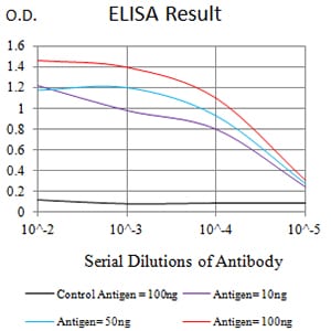 ELISA: LRP3 Antibody (7B3A5E9) [NBP3-27129] - Black line: Control Antigen (100 ng); Purple line: Antigen (10 ng); Blue line: Antigen (50 ng); Red line: Antigen (100 ng)