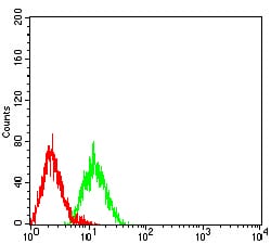 Flow Cytometry: LRP3 Antibody (7B3A5E9) [NBP3-27129] - Analysis of HL-60 cells using LRP3 mouse mAb (green) and negative control (red).