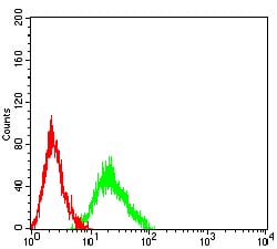 Flow Cytometry Muscarinic Acetylcholine Receptor M5/CHRM5 Antibody (7E5H11) - BSA Free