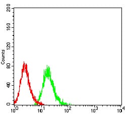 Flow Cytometry: IGSF2/CD101 Antibody (9A8B9) [NBP3-27138] - Analysis of HL-60 cells using IGSF2/CD101 mouse mAb (green) and negative control (red).