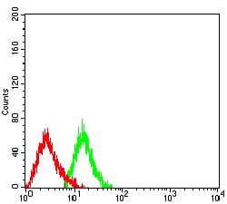 Flow Cytometry: Plexin C1 Antibody (2H11C11) [NBP3-27143] - Analysis of HL-60 cells using Plexin C1 mouse mAb (green) and negative control (red).