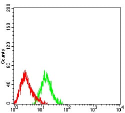 Flow Cytometry: Plexin C1 Antibody (3C10B2) [NBP3-27144] - Analysis of HL-60 cells using Plexin C1 mouse mAb (green) and negative control (red).