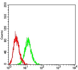 Flow Cytometry: EVI2B Antibody (8F3D1) [NBP3-27145] - Analysis of HL-60 cells using EVI2B mouse mAb (green) and negative control (red).
