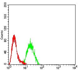 Flow Cytometry MLL3 Antibody (7D5D7) - BSA Free