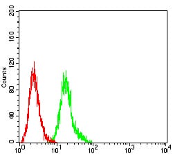 Flow Cytometry: CRTAM Antibody (1C11E10) [NBP3-27154] - Analysis of HL-60 cells using CRTAM mouse mAb (green) and negative control (red).
