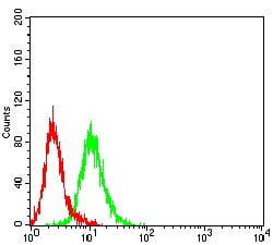 Flow Cytometry: KMT2D Antibody (3C8E11) [NBP3-27155] - Analysis of Hela cells using KMT2D mouse mAb (green) and negative control (red).