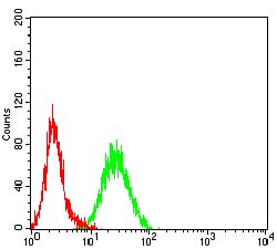 Flow Cytometry: KMT2D Antibody (1D10F6) [NBP3-27156] - Analysis of Hela cells using KMT2D mouse mAb (green) and negative control (red).