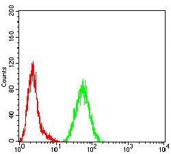 Flow Cytometry ILT8/CD85b/LILRA6 Antibody (1B5B11) - BSA Free