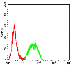 Flow Cytometry: TSPAN33 Antibody (2F8A12) [NBP3-27169] - Analysis of U937 cells using TSPAN33 mouse mAb (green) and negative control (red).