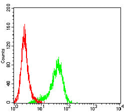 Flow Cytometry: CD1d Antibody (3A6G3) [NBP3-27170] - Analysis of Jurkat cells using CD1d mouse mAb (green) and negative control (red).