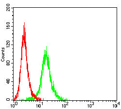 Flow Cytometry: TSPAN16 Antibody (8G1E2) [NBP3-27171] - Analysis of Jurkat cells using TSPAN16 mouse mAb (green) and negative control (red).