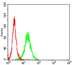 Flow Cytometry: TSPAN16 Antibody (5A2C10) [NBP3-27178] - Analysis of U937 cells using TSPAN16 mouse mAb (green) and negative control (red).
