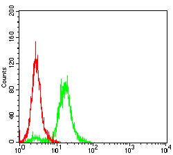 Flow Cytometry: TRBC1 Antibody (5A8A10) [NBP3-27179] - Analysis of JURKAT cells using TRBC1 mouse mAb (green) and negative control (red).