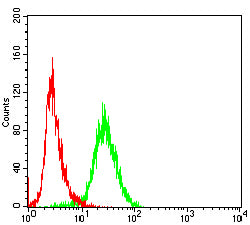 Flow Cytometry: TRBC1 Antibody (5D9F1) [NBP3-27180] - Analysis of Jurkat cells using TRBC1 mouse mAb (green) and negative control (red).