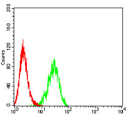 Flow Cytometry: RABEP2 Antibody (2B2A6) [NBP3-27182] - Analysis of K562 cells using RABEP2 mouse mAb (green) and negative control (red).