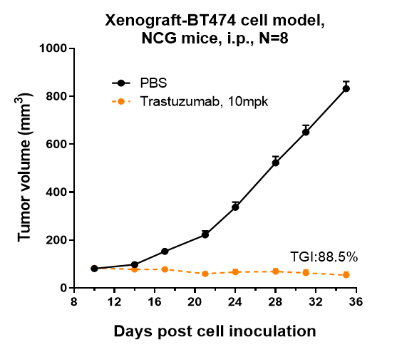 Trastuzumab inhibited the tumor growth of BT474 on NCG mice. The result showed significant anti-tumor effects, with an tumor inhibition rate (TGI) of 88.5% at 10 mpk at D35.