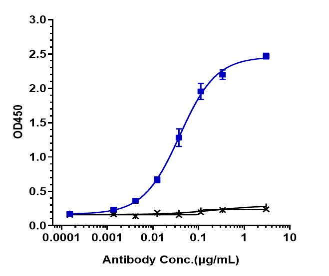 Immobilized human LOXL2 His at 2 ug/mL can bind Lysyl Oxidase Homolog 2/LOXL2 Antibody (simtuzumab) - Humanized, EC50=0.03857 ug/mL.