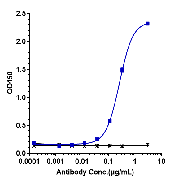 Immobilized human SLC34A2 (188 361aa) Fc at 2 ug/mL can bind SLC34A2 Antibody (upifitamab) - Humanized, EC50=0.259 ug/mL.