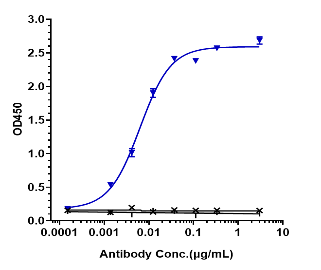 Immobilized human MASP 2A His at 2 ug/mL can bind MASP2 Antibody (narsoplimab), EC50=0.006278 ug/mL.