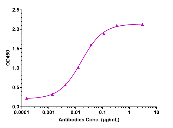 Immobilized Human MRC2 / CD280, His Tag  can bind Mrc2 Antibody (Copenhagen Rigshospitalet patent anti-uPARAP) - Humanized, The EC50 was approximately 0.01620 ug/mL.