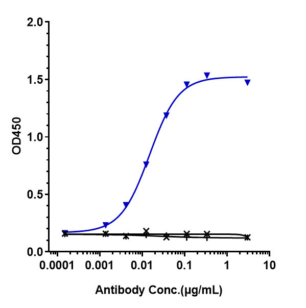 Immobilized human PD-1 His at 2 ug/mL can bind PD-1 Antibody (spartalizumab) - Humanized, IgG4SP, EC50=0.01484 ug/mL.