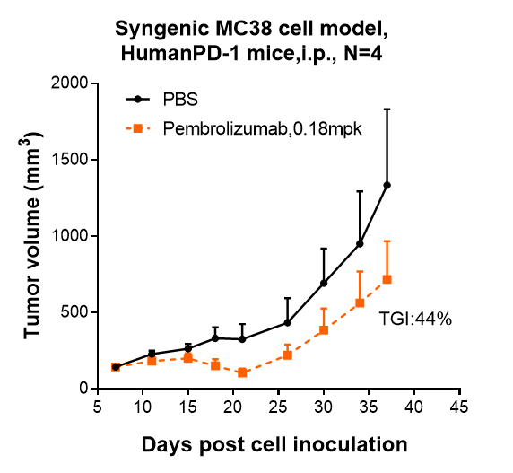 Pembrolizumab  inhibited the tumor growth of MC38 on human PD-1 mice. The result showed significant anti-tumor effects, with an tumor inhibition rate (TGI) of 44.0% at 0.18 mpk at D37.