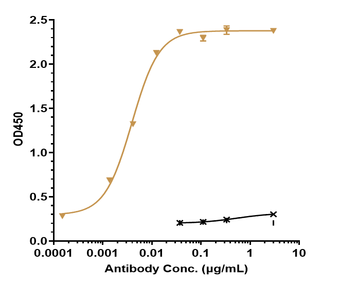 Immobilized human PD-1 His at 2 ug/mL can bind PD-1 Antibody (pembrolizumab) - Humanized, IgG4SP, EC50=0.0039 ug/mL.