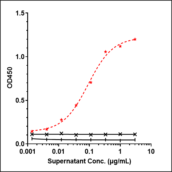Immobilized human CD19 (20 291) Protein, His Tag at 2 ug/mL can bind CD19 Antibody (tafasitamab) - Humanized, EC50=0.0904 ug/mL.