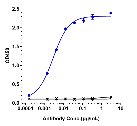 Immobilized human ROR1 His at 2 ug/mL can bind ROR1 Antibody (zilovertamab) - Humanized, EC50=0.00283 ug/mL.