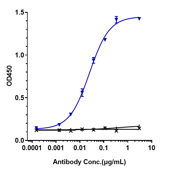 Immobilized human HGF His at 2 ug/mL can bind HGF Antibody (rilotumumab) - IgG2SA, EC50=0.02507 ug/mL.