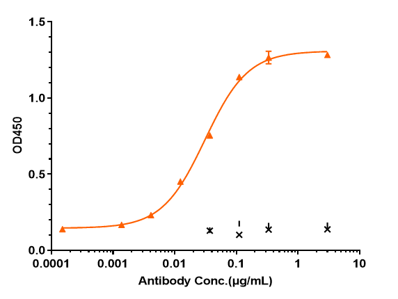 Immobilized Human TNFRSF10B/TRAILR2/CD262, Fc Tag at 2 ug/mL can bind TRAILR2/TNFRSF10B Antibody (conatumumab), The EC50 is 0.03101 ug/mL.