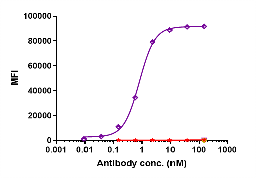 Human CD38 CHO-S Cell Line were stained with Isatuximab and negative control protein respectively, washed and then followed by PE and analyzed with FACS,EC50=0.812 nM.
