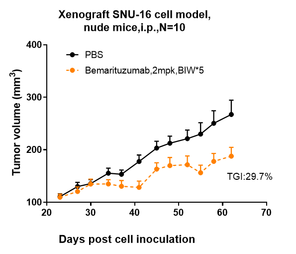 Bemarituzumab inhibited the tumor growth of SNU-16 on Balb/c nude  mice. The result showed significant anti-tumor effects, with an tumor inhibition rate (TGI) of 29.7% at 2 mpk at D62.