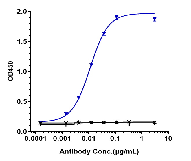 Immobilized human FRa His at 2 ug/mL can bind FOLR1 Antibody (mirvetuximab) - Humanized, EC50=0.01123 ug/mL.