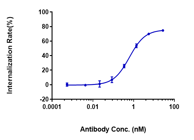 The endocytosis ratio mirvetuximab by Human Fr alpha  HEK 293 increased with the increase of antibody concentration, and the Internalization Rate (%) 75% at antibody concentration of 55 ng/mL.